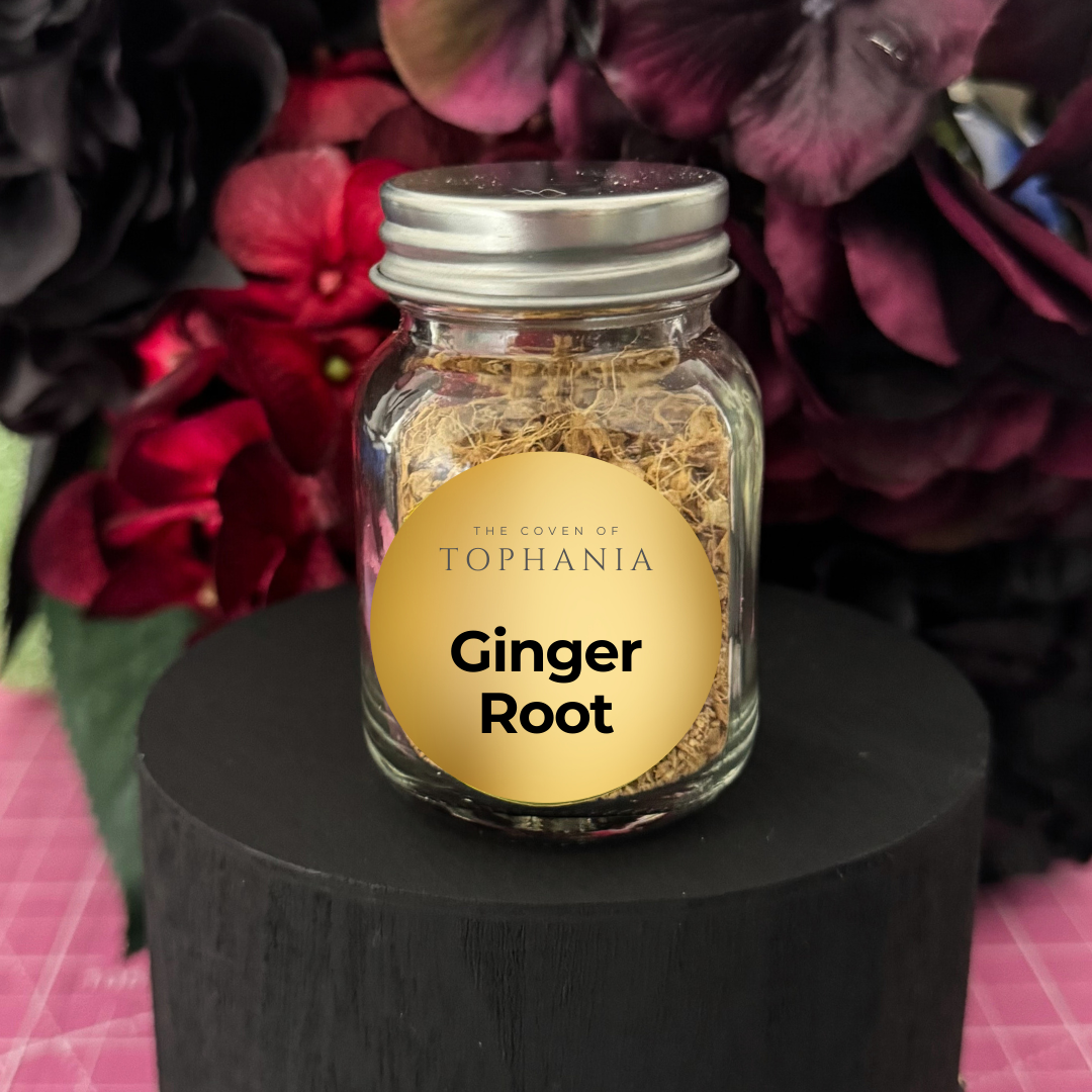 Ginger