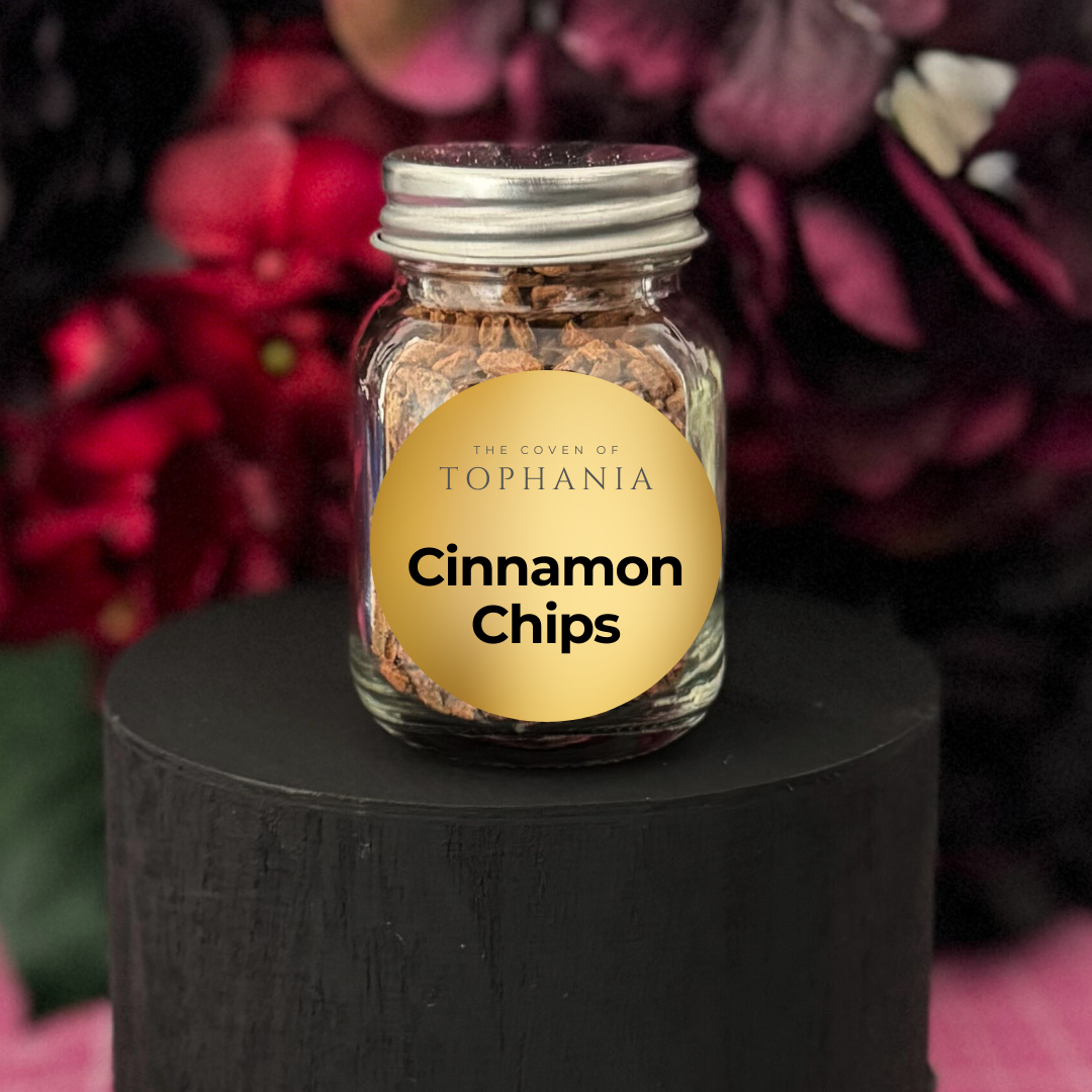 Cinnamon Chips