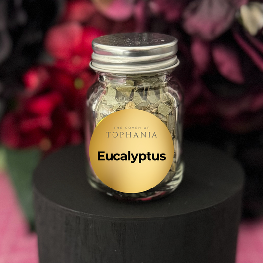 Eucalyptus